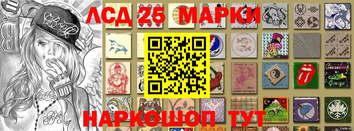 Камышлов  Марки N-bome 1500мкг  Марки NBOMe  Вход с VPN  Марки N-bome 1500мкг 