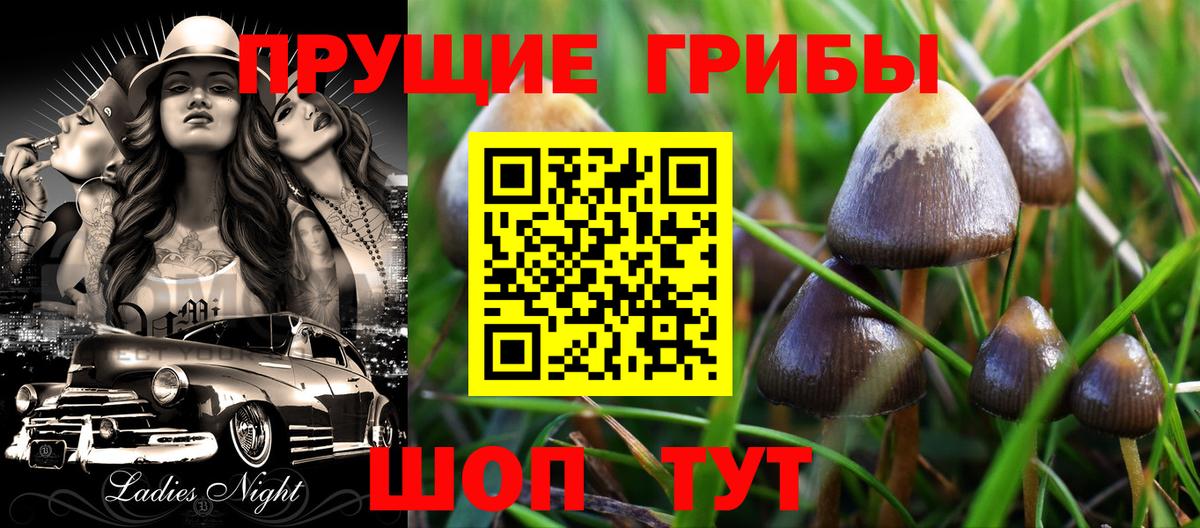 Псилоцибиновые грибы Cubensis  Вход с VPN  Камышлов 