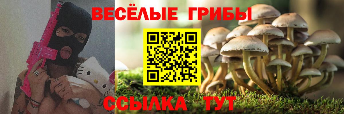 Псилоцибиновые грибы MAGIC MUSHROOMS Камышлов